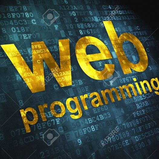 Web Development and Programming Bundle