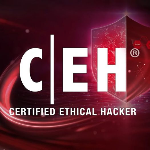 Certified Ethical Hacker(CEH) v12